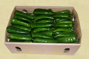 Green-Chillies