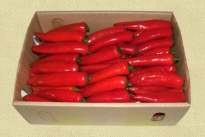 Red-Chillies